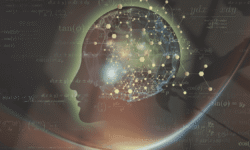 The Human Mind